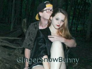GingerSnowBunny