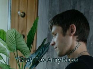 GrayFoxAmyRose