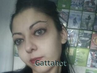 Gattahot