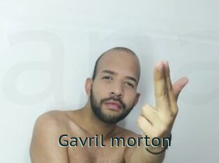 Gavril_morton