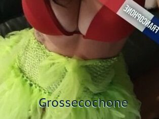 Grossecochone