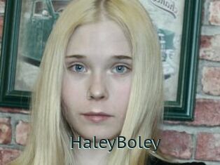 HaleyBoley