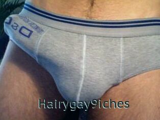 Hairygay9iches