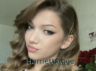 Harrietbagge