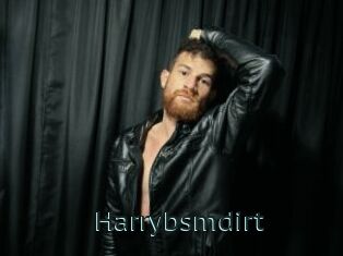 Harrybsmdirt