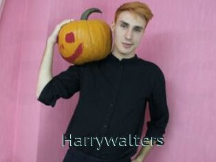 Harrywalters