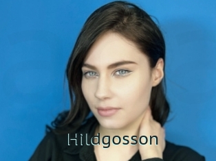 Hildgosson