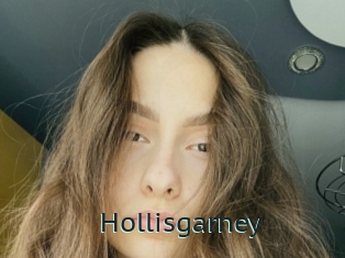 Hollisgarney