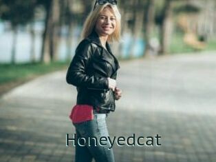 Honeyedcat