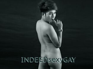 INDEEDsexyGAY