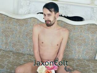 JaxonColt
