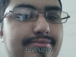 JoePuppy