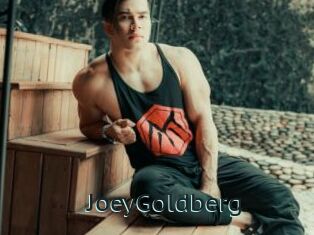 JoeyGoldberg