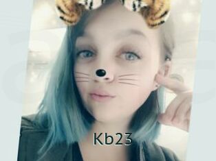 Kb23