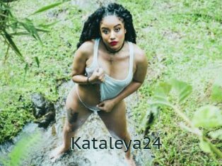 Kataleya24