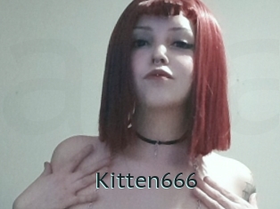 Kitten666