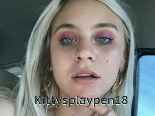 Kittysplaypen18