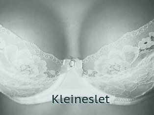 Kleineslet