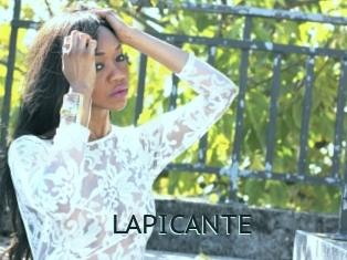 LAPICANTE