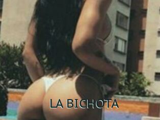 LA_BICHOTA