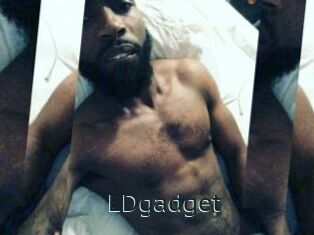 LDgadget