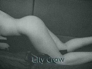 Lily_Crow