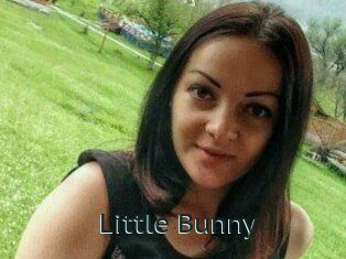Little_Bunny_