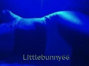 Littlebunny66