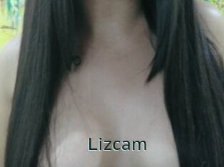 Lizcam