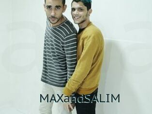 MAXandSALIM