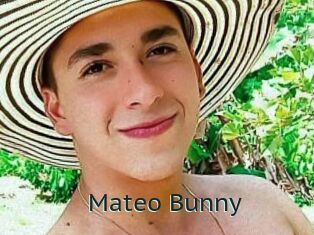 Mateo_Bunny