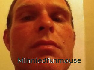 Minniedfknmouse
