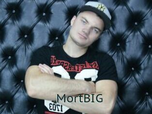 MortBIG