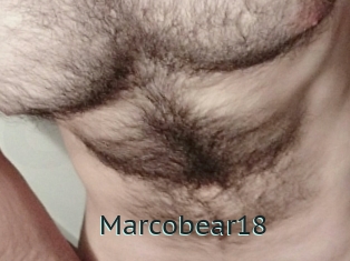 Marcobear18