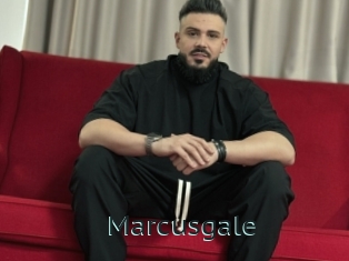 Marcusgale