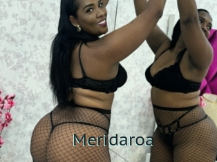 Meridaroa