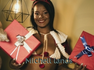 Michell_lands