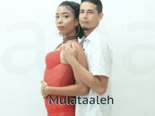 Mulataaleh
