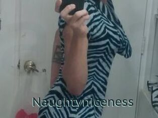Naughtyniceness