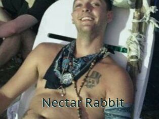 Nectar_Rabbit