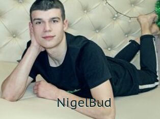 NigelBud