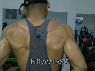 NiiccolASS