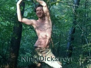 NinjaDickstroyr