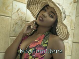 NoaHamiltons