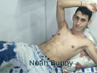 Noah_Bunny