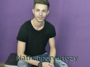 Nathanpervertgay