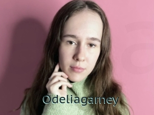 Odeliagarney