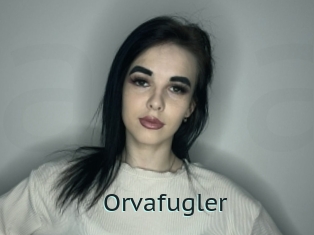 Orvafugler