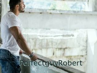 PerfectguyRobert