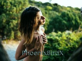 PhoenixBirdX